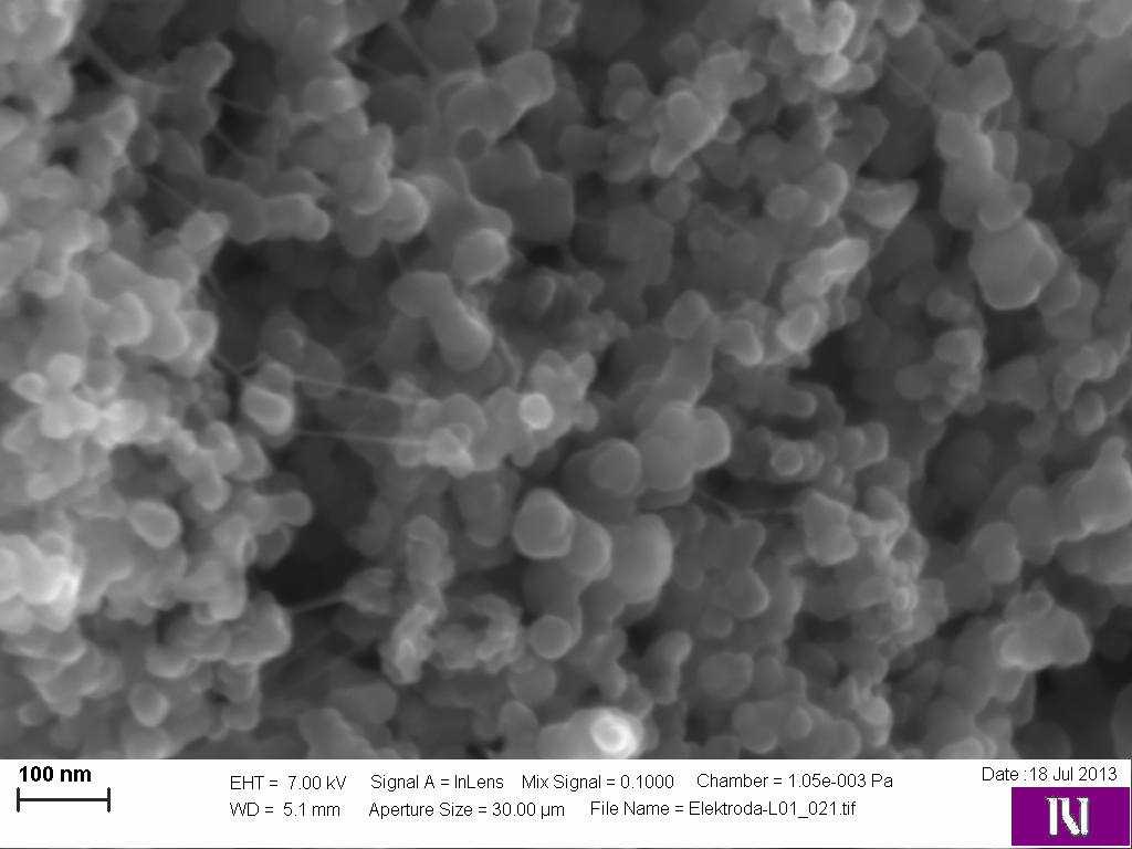 Magnified cross-section view of the upper layer